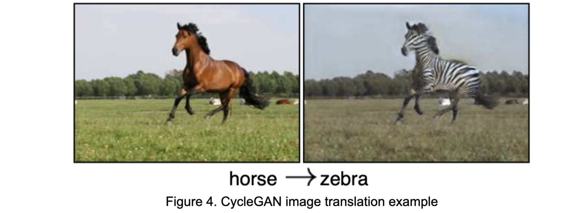 Figure 4. CycleGAN image translation example